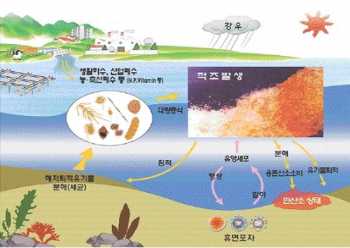 적조현상이란?
