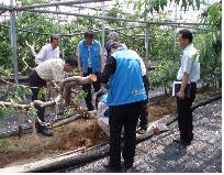 원줄기 상태 조사.