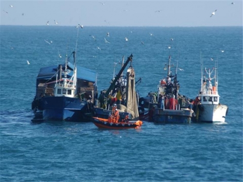 불법어업 단속장면 사진제공 해양수산부