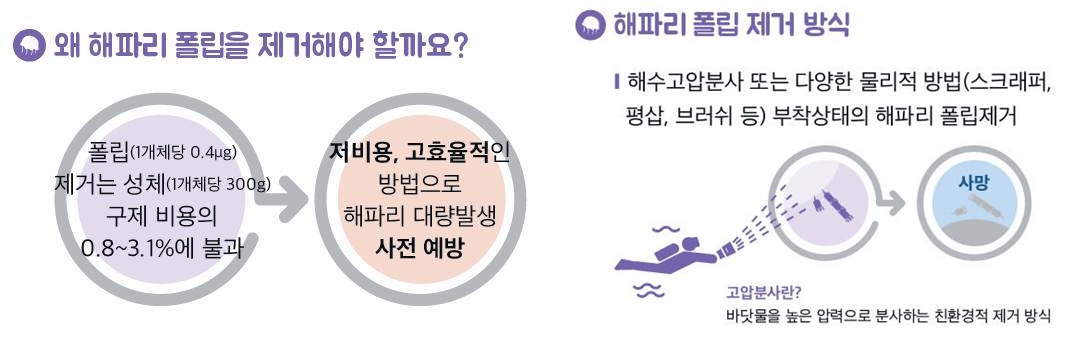 올 여름 해파리 피해 사전 예방