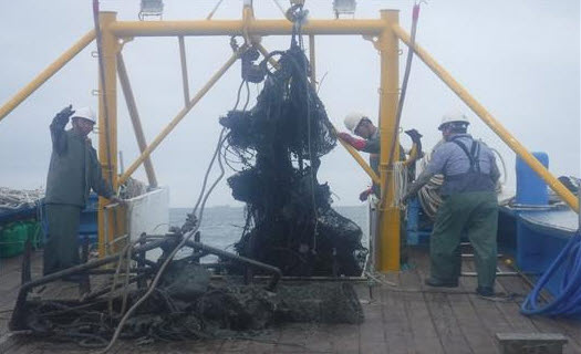 침적쓰레기 수거전경<사진제공 한려해상>