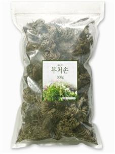 위반제품(부처손)
