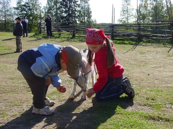 핀란드는 자연과 아이들의 교감을 중시한 교육을 펼치고 있다. /사진출처=한국-핀란드교육연구센터(OPINKOTI)