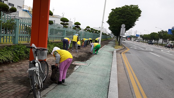 노인일자리사업 참여자들[사진제공=구미시]