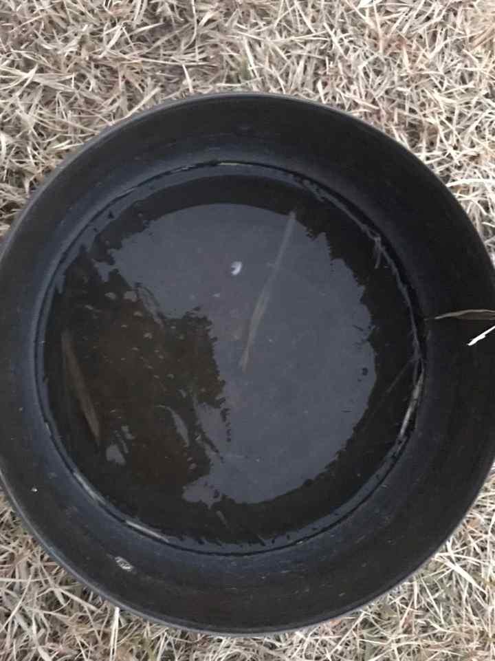 부산기상관측소 관측장소에서 관측된 올겨울 첫 얼음 /사진제공=부산지방기상청