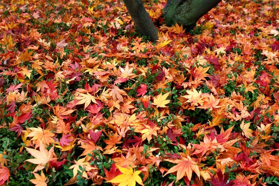 아름다운 이별 /사진=조정현 작가