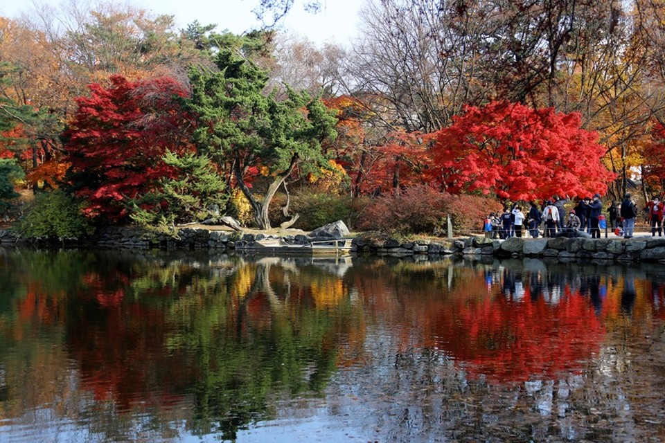 고궁의 가을 /사진=조정현 작가