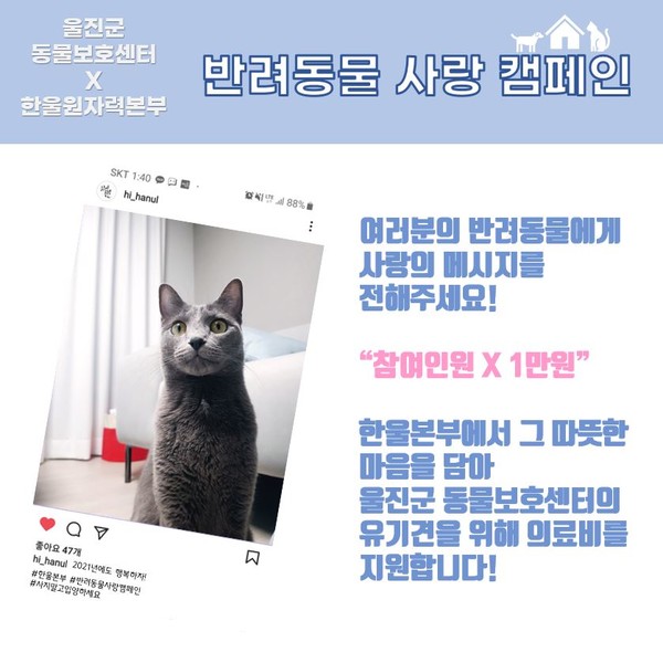 한울본부 반려동물 사랑캠페인 포스터 /사진제공=울진군