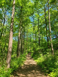 백두대간마루금(선자령) /사진제공=국립산림과학원