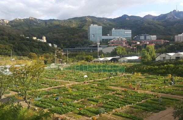 강감찬텃밭 전경사진./사진제공=관악구