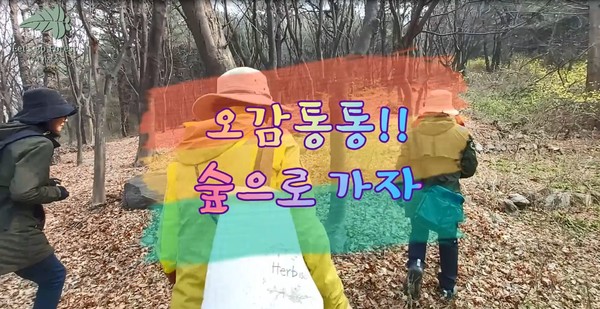 오감통통!! 숲으로 가자(최우수상) 영상캡처 /자료제공=한국산림복지진흥원