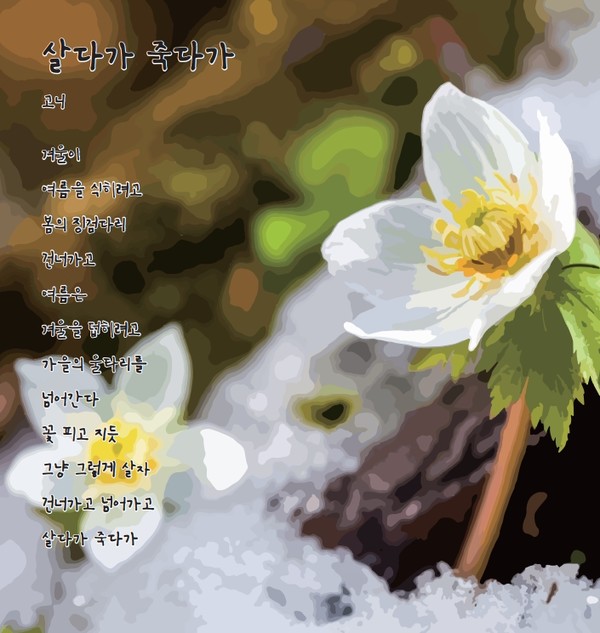 살다가 죽다가 / 고니