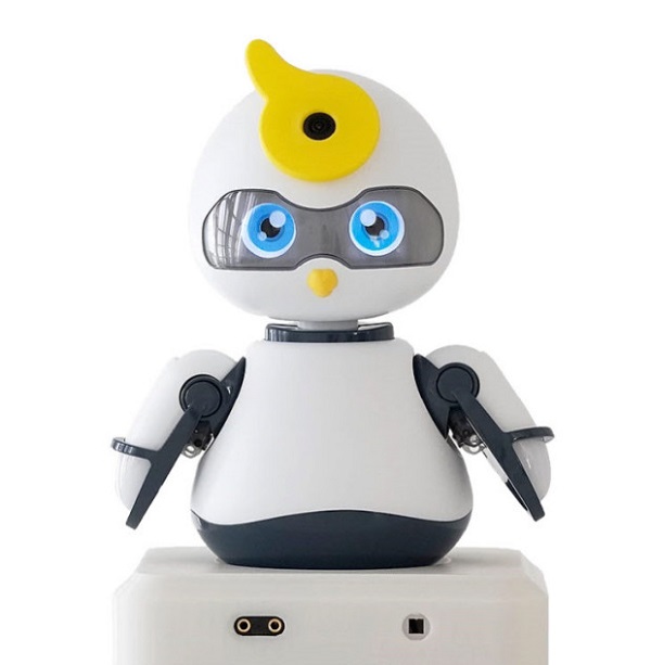 인지향상 로봇 참고자료 <사진제공=영양군>