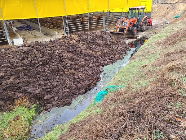 가축분뇨를 무단 배출한 축산농가 /사진제공=상주시