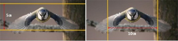 ‘5×10 규칙’ /자료제공=환경부