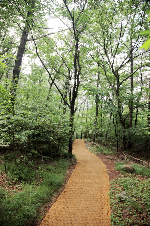 등산로 내 야자매트를 설치해 지역주민들이 걷기 편하게 개선했다. /사진=권영길 기자