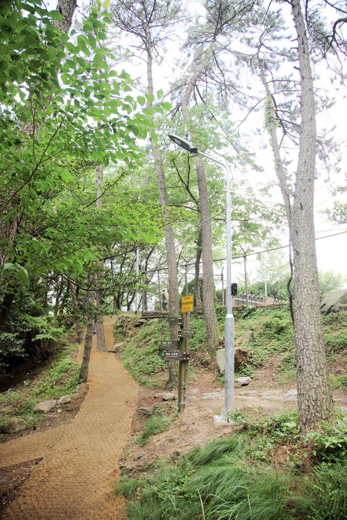 야자매트 및 보안등을 설치한 등산로 /사진=권영길 기자