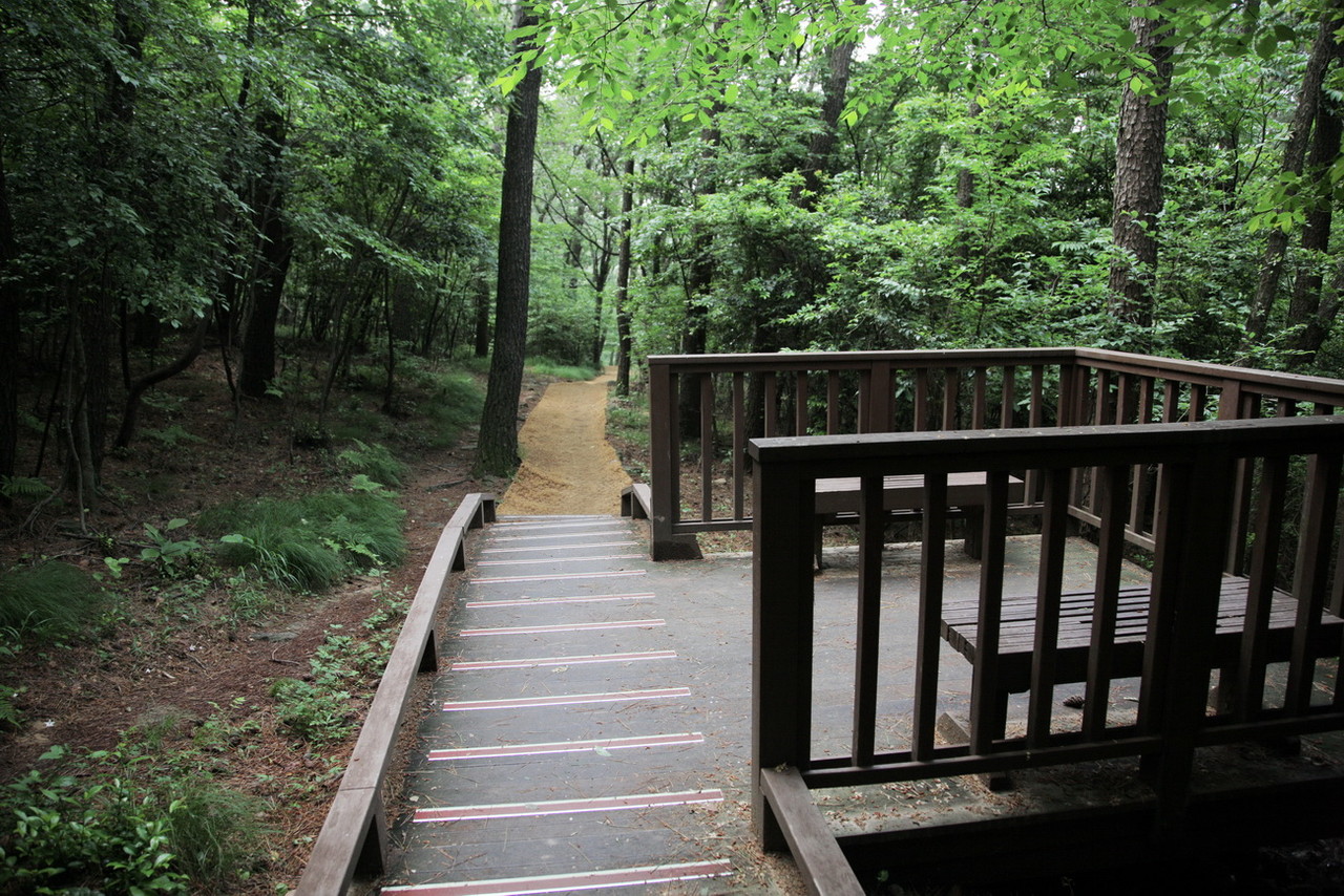 나무테크 바닥 미끄럼 방지 부분 정비 /사진=권영길 기자