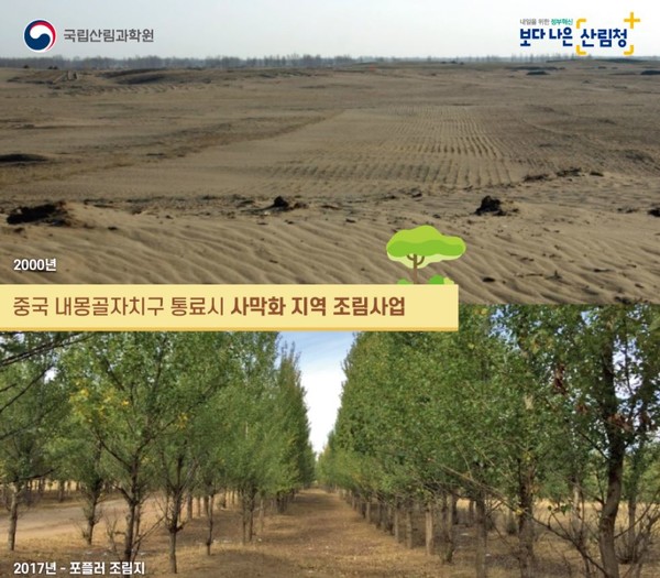 중국 내몽골자치구 통료시 사막화 지역 조림사업 /자료제공=국립산림과학원
