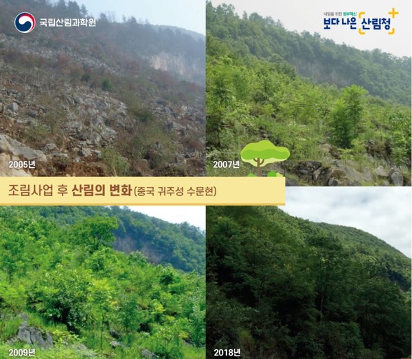 중국 귀주성 수문현_조림사업 후 산림의 변화 /자료제공=국립산림과학원