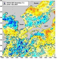 2021년 6월 상·중순 평균 표층수온 분포(좌) 및 평년편차 분포 /자료제공= 국립수산과학원