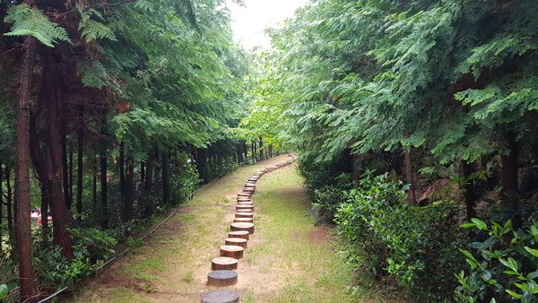 경상남도 제 12호 민간정원으로 지정된 나폴리농원의 편백나무 숲속길 / 사진제공=통영시