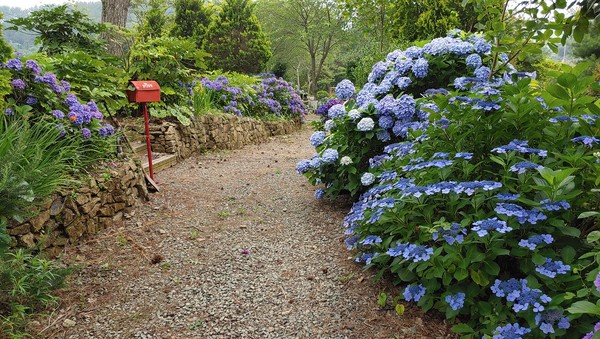 지난 5월 15일 개원한 물빛소리정원(경남 제4호) / 사진제공=통영시