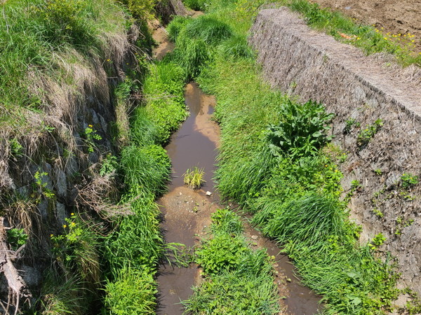 가축분뇨 무단배출 및 퇴ㆍ액비 유실 특별 지도 점검 / 사진제공=상주시