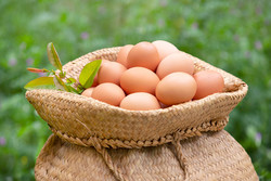 달걀(일반란, 30개 기준)은 전년 동기 대비 평균가격이 5083원에서 8673원으로 3,590원(70.6%) 올랐다.
