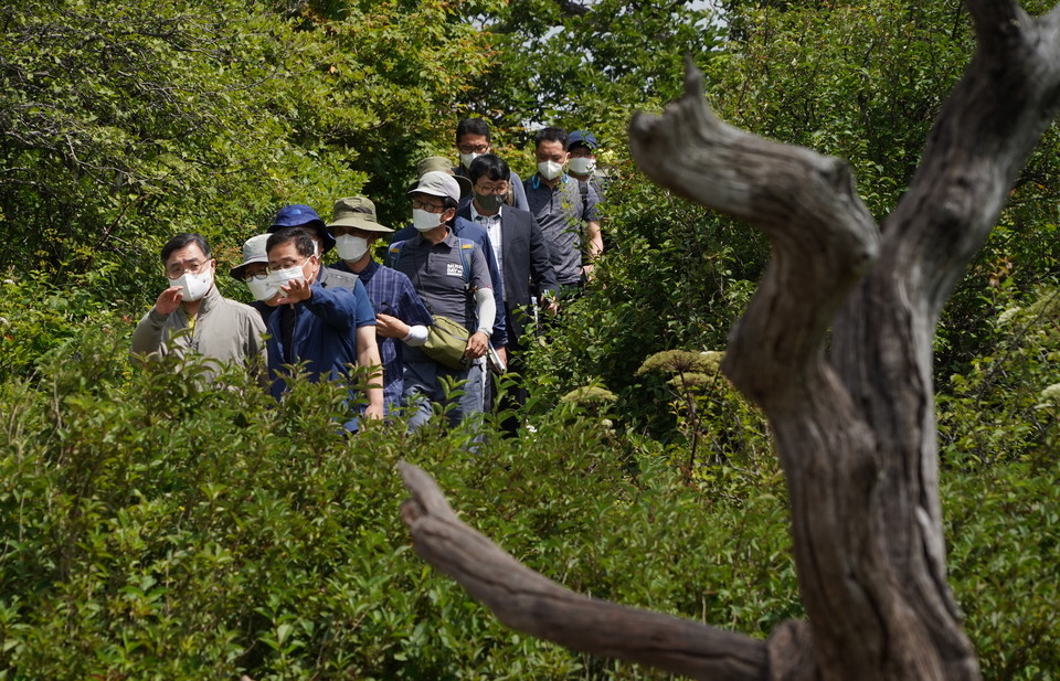 최병암 청장이 고산 침엽수종 보존 복원 방안을 위해 현장 점검에 나섰다. /사진제공=산림청