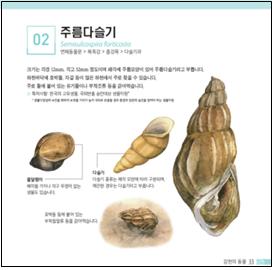 /자료제공=국립낙동강생물자원관
