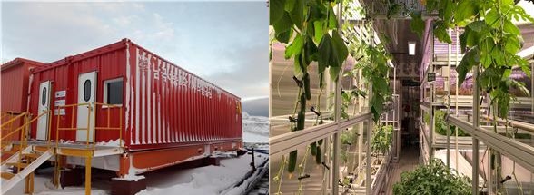 남극세종과학기지 실외, 내부 모습. /사진제공=농촌진흥청