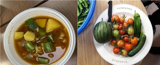 남극세종과학기지 실내농장에서 수확한 애호박으로 만든 된장찌개와 신선 채소. /사진제공=농촌진흥청