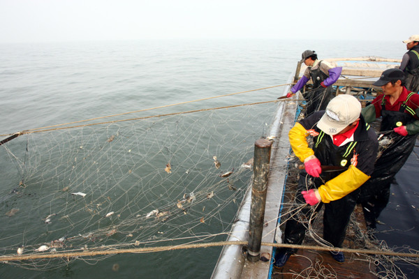 옹진군이 지난 1일 서해5도 어장에서 가을철 꽃게잡이를 시작했다. /사진제공=옹진군