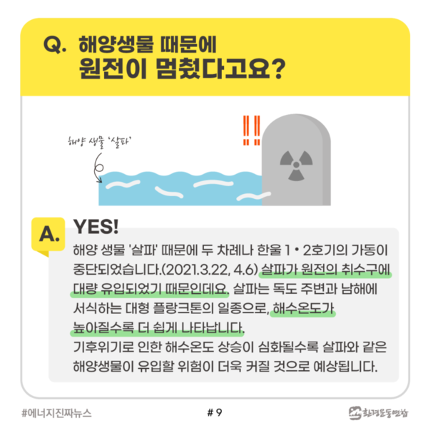 /자료제공=환경운동연합