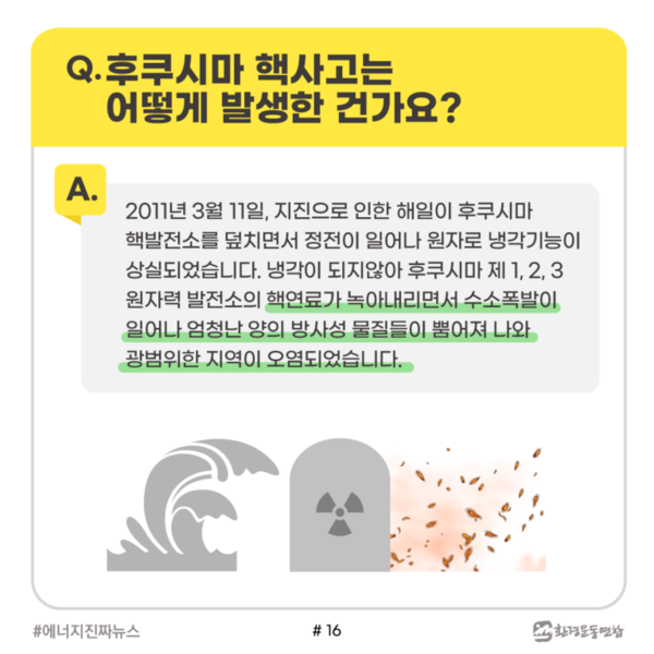 /자료제공=환경운동연합