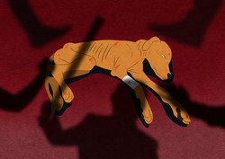 현행 동물보호법 제46조에 따르면 동물학대 살해는 3년 이하의 징역 또는 3천만원 이하의 벌금, 동물학대는 2년 이하의 징역 또는 2천만원 이하의 벌금에 처하도록 되어 있지만 규정이 제 기능을 못하고 있다.