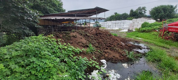 가축분뇨 적치전경 /사진제공=안성시청