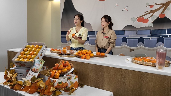 청도반시 라이브커머스 특판행사 /사진제공=청도군