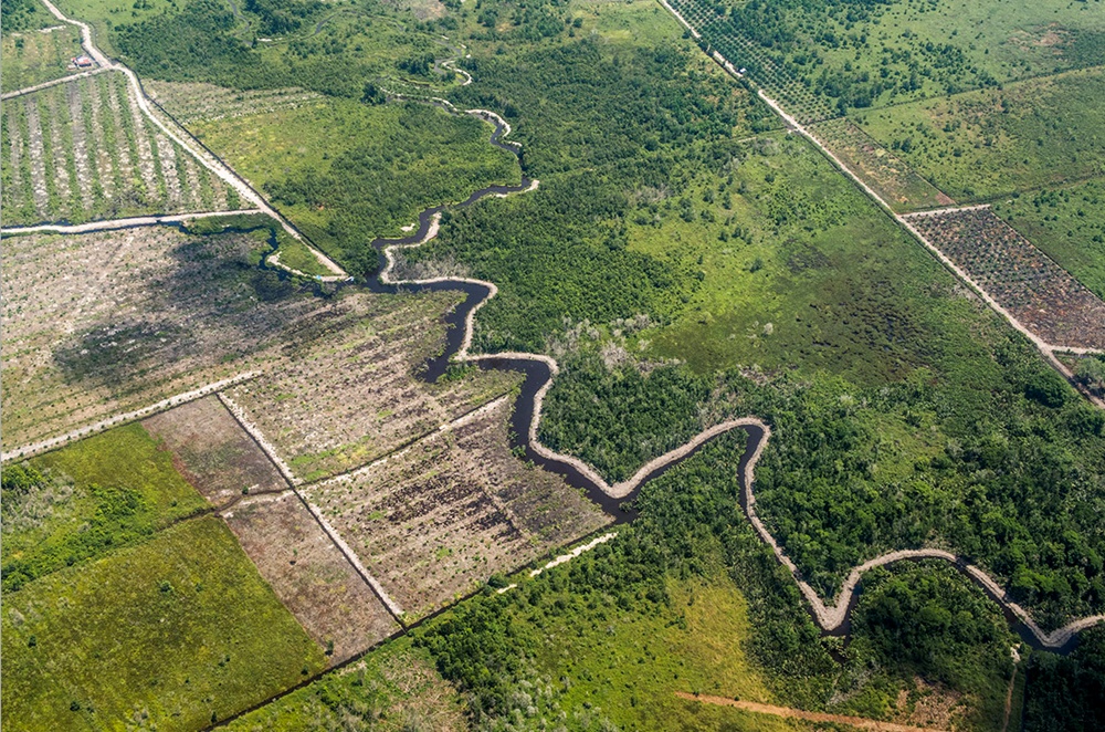 인도네시아는 전 세계에서도 가장 급격하게 숲을 잃어가고 있는 나라 중 하나다. 목재용 벌채와 자원채굴도 한몫하고 있지만, 무엇보다도 야자유(palm oil)를 얻기 위한 경작지의 개간이 많은 비중을 차지하고 있다. 사진은 사라져가는 인도네시아 보르네오 숲. /사진출처=incognita agency
