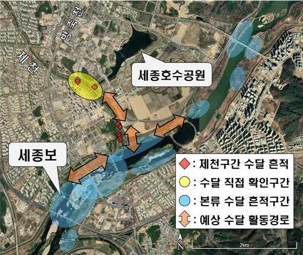 세종시 수달 확인 구간 및 예상 활동 경로 /자료제공=환경부