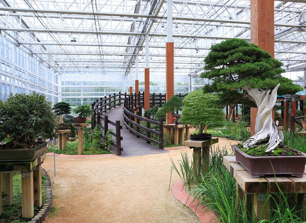 영양군 분재야생화테마파크 내부  /사진제공=영양군