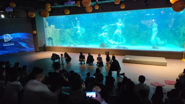 대전 엑스포 아쿠아리움은 설계 단계부터 200~300명이 한자리에서 이벤트를 즐길 수 있는 소극장 형태의 복합문화공간으로 기획됐다. /사진제공=대전 엑스포 아쿠아리움