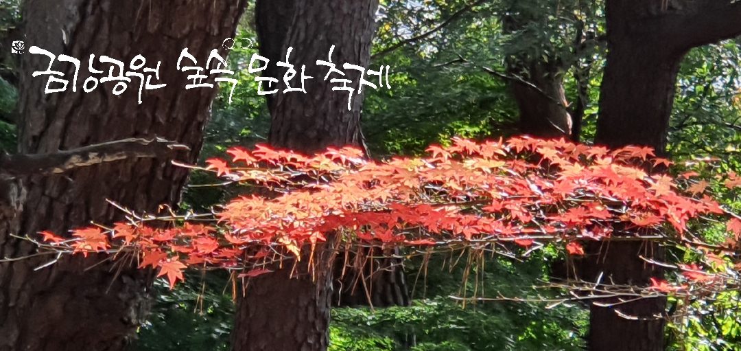 부산시설공단 금강공원사업소, '금강연못 문화축제' 개최 /사진제공=부산시설공단