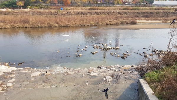 특별히 수질관리가 필요한 지역들이 비점오염원관리지역에 포함될 수 있도록 지정기준이 구체화된다. /사진=환경일보DB