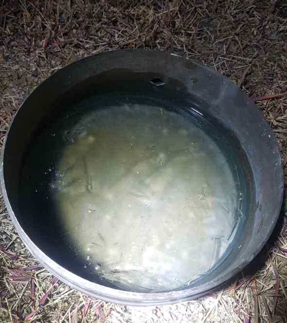 울산기상대에서 관측된 첫 얼음 /자료출처=부산지방기상청