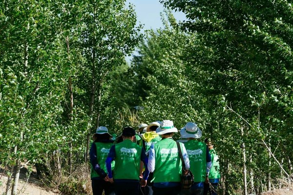 포플러 숲을 걷는 자원봉사단