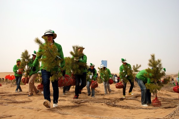 사막에서 묘목을 운반하는 자원봉사자들
