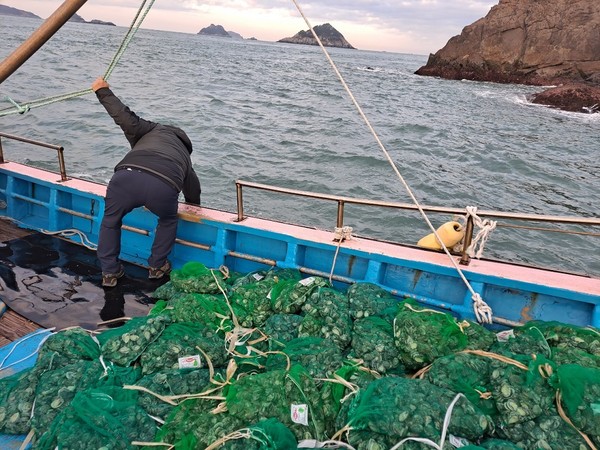  제주 대서리(추자도) 연안바다목장 전복 11만 마리 방류모습 /사진제공=한국수산자원공단