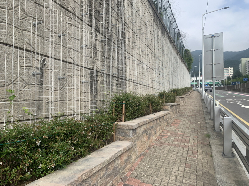 백양터널 진출입로 옹벽녹화 설치 /사진출처=부산시